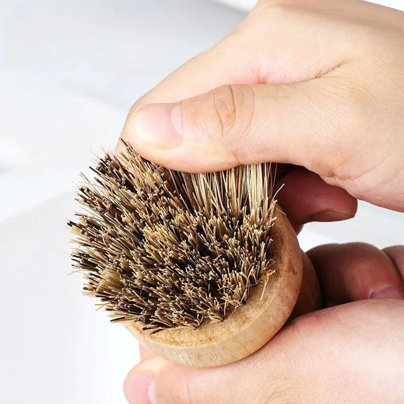 Set van natuurlijke keukenborstels met kokos- en sisalharen voor duurzaam afwassen.